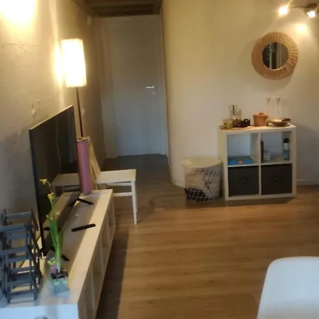 La Coccinella 公寓 卡斯泰尔菲奥伦蒂诺